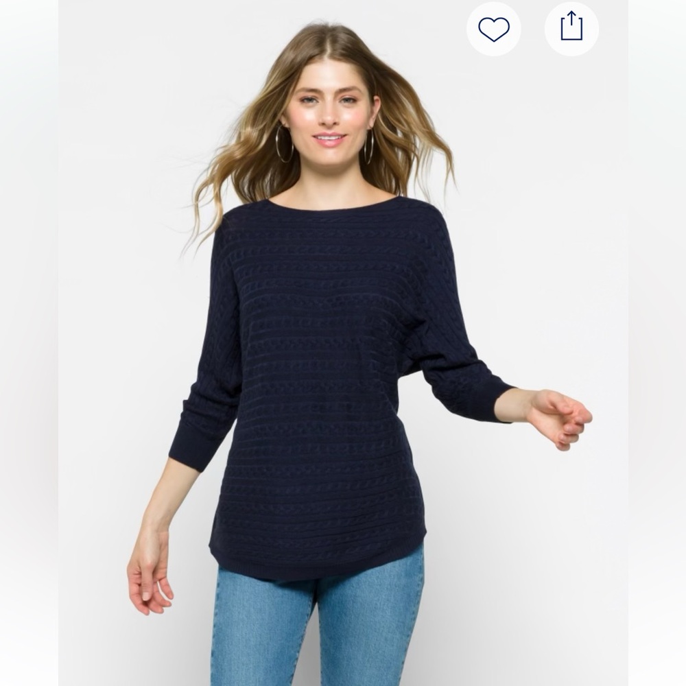 Market & Spruce Reviera Cable Knit Dolman Sweater